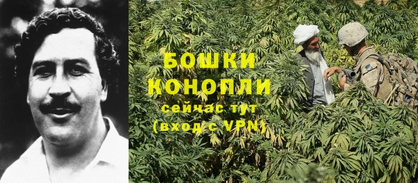 дмт Майский