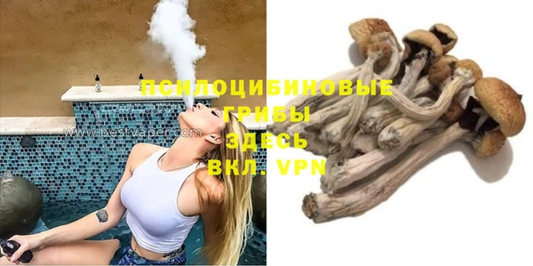 дмт Майский