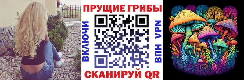 Купить закладки Медногорск Псилоцибиновые грибы мухоморы